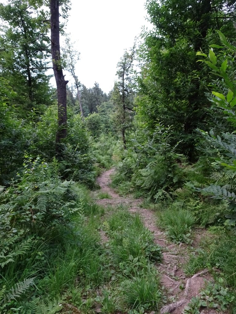 Trail towards Mostec