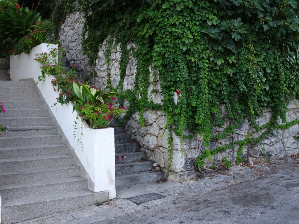Follow the 2nd stairs (overgrown marking)