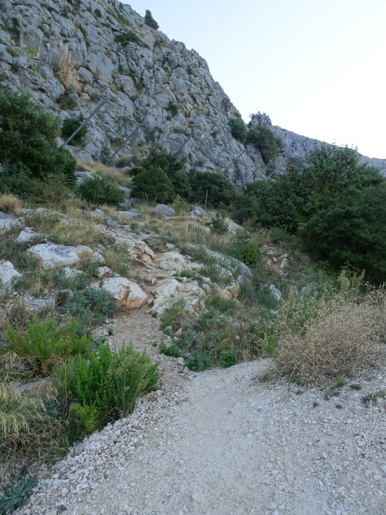 Trail (follow the red circle markings)