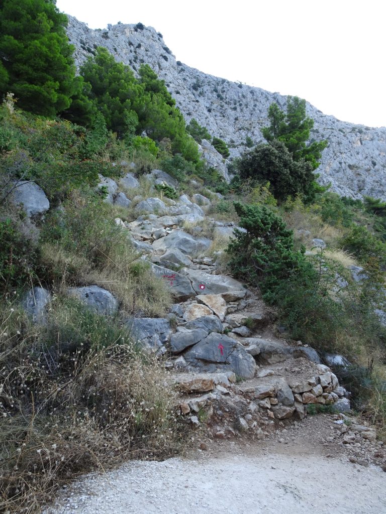 Follow the red markings (trail becomes again steeper)