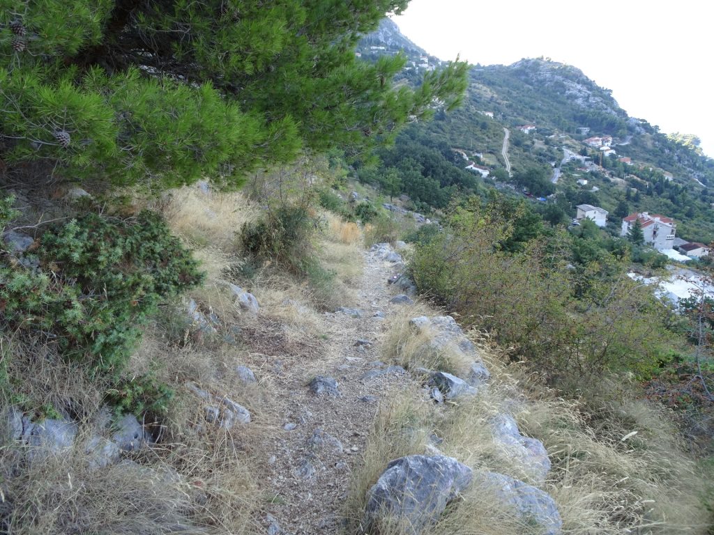 Trail towards Borak