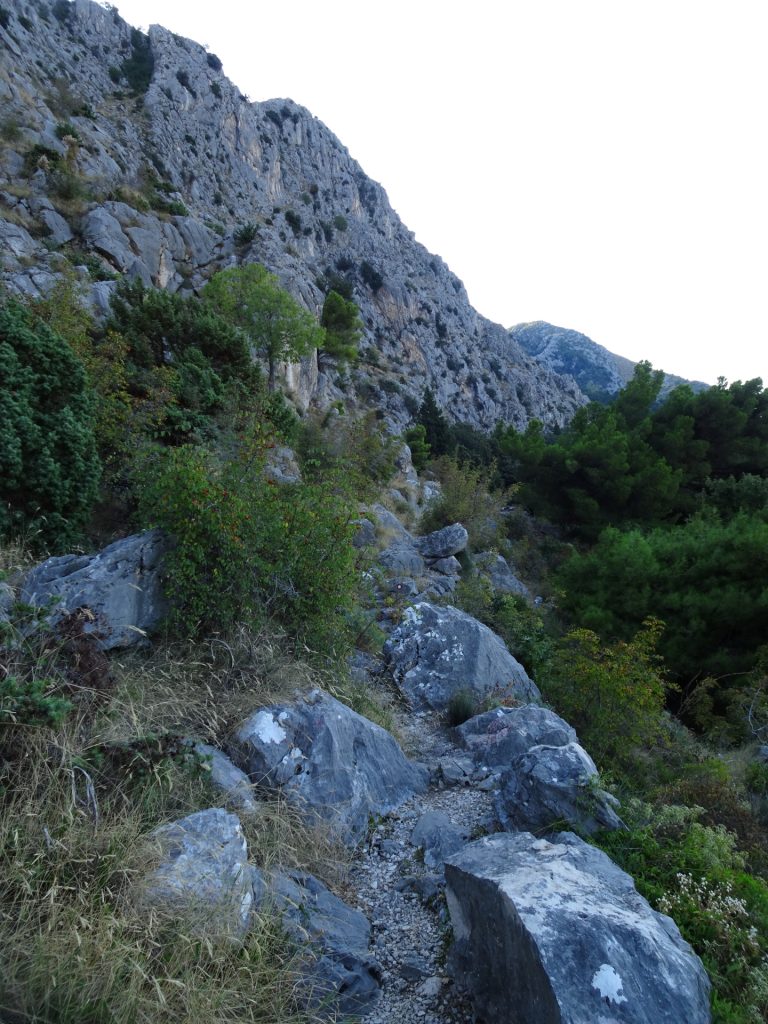 Trail towards Borak