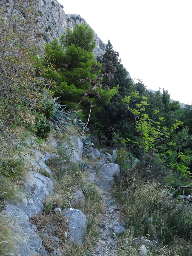 Trail towards Borak