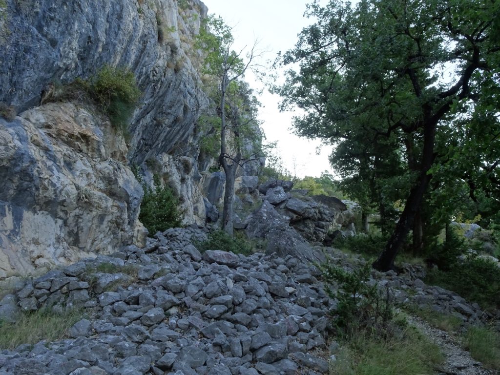 Trail towards Borak