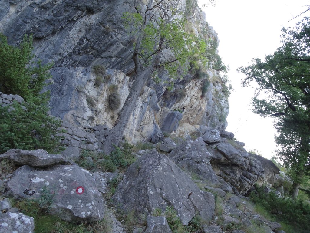 Impressive cliffs next to the trail