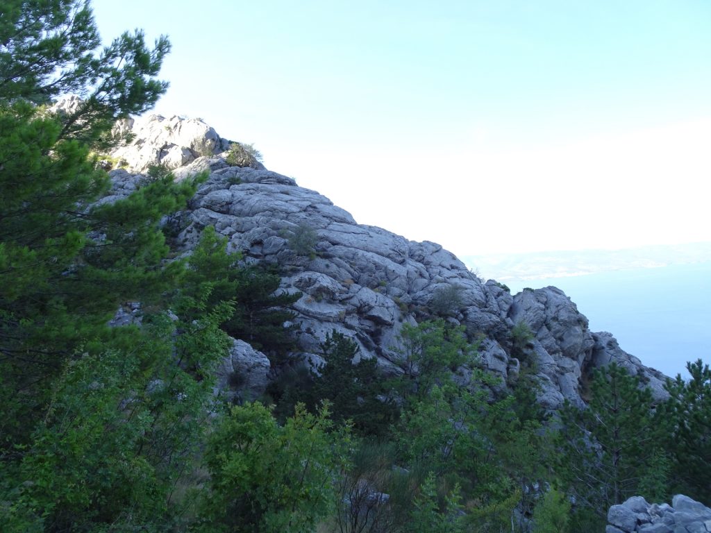View from the trail towards Kula