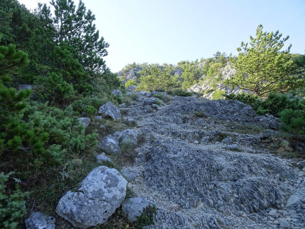 Rocky trail towards Kula