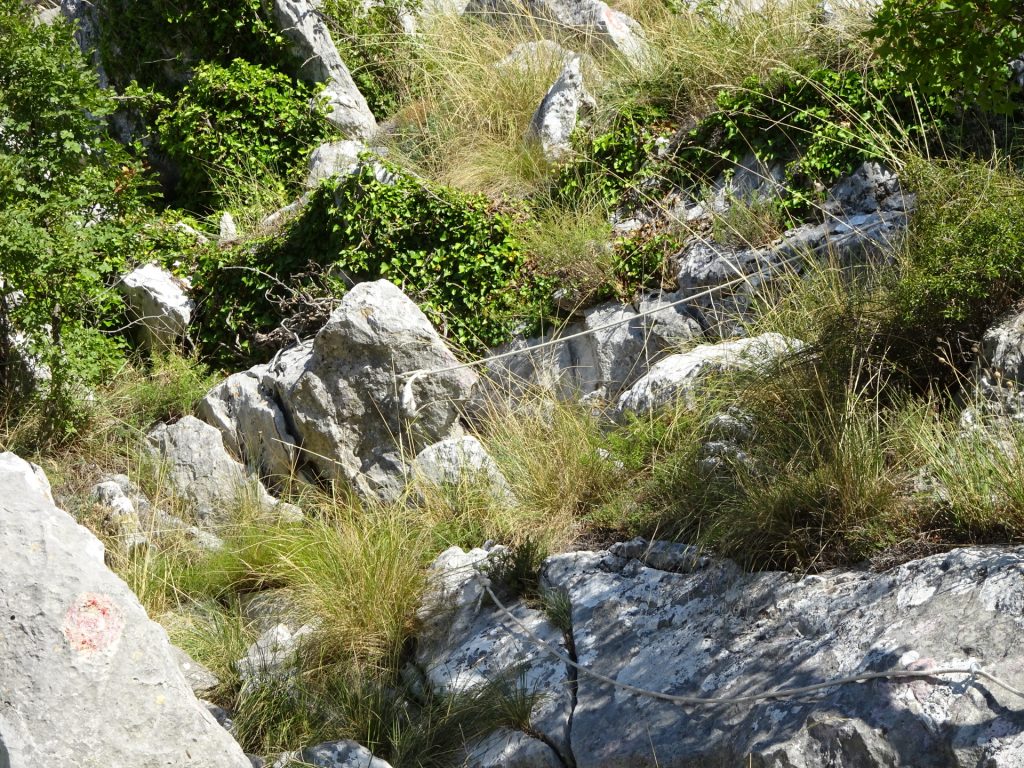 Exposed parts of the trail are protected via ropes