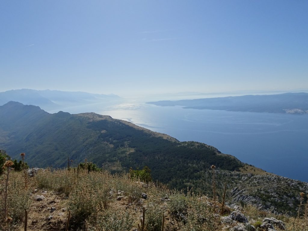 View from Kula