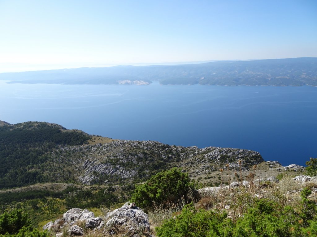 View from Kula