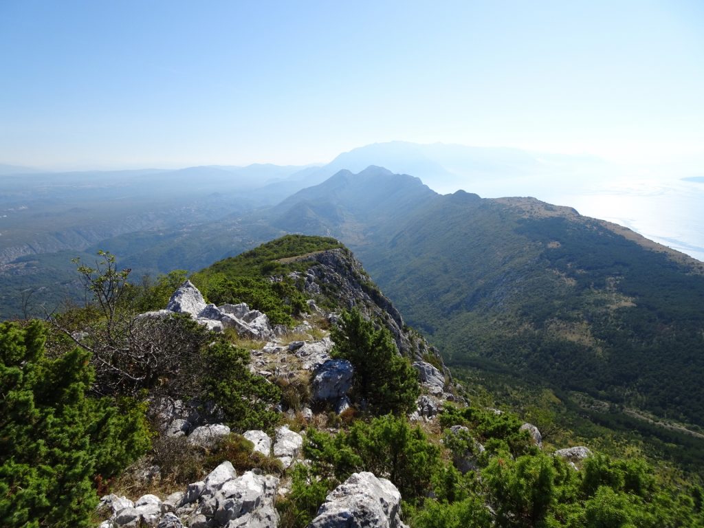 View from Kula