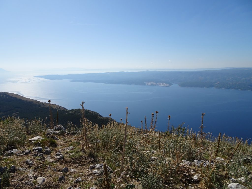 View from Kula