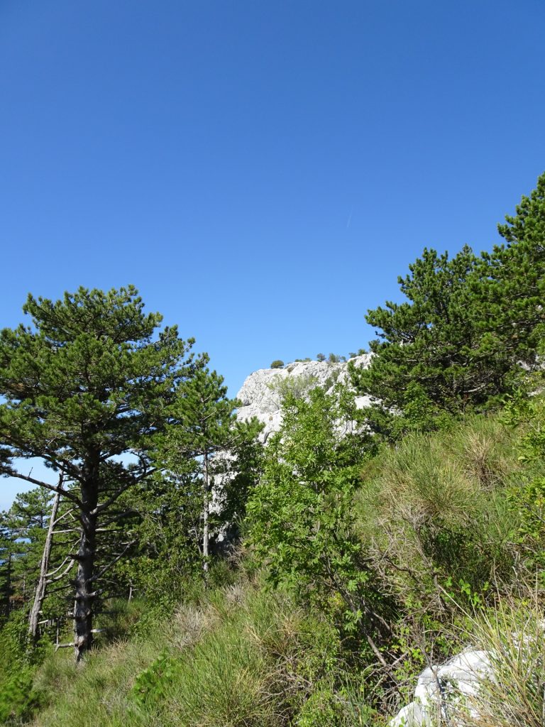 View back towards Srtrazina