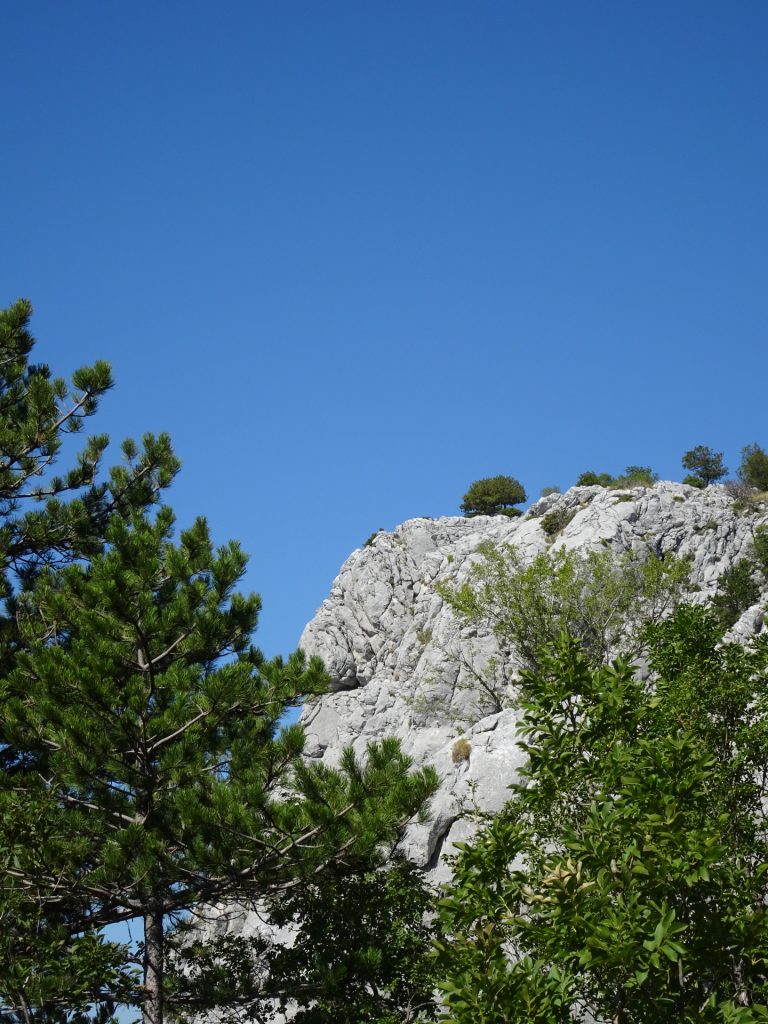 View back towards Srtrazina