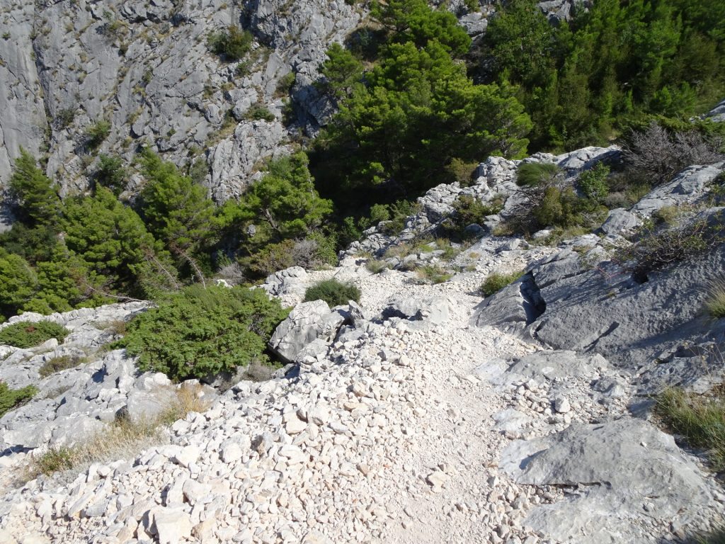 Taking "Planovo Fortica" trail downwards
