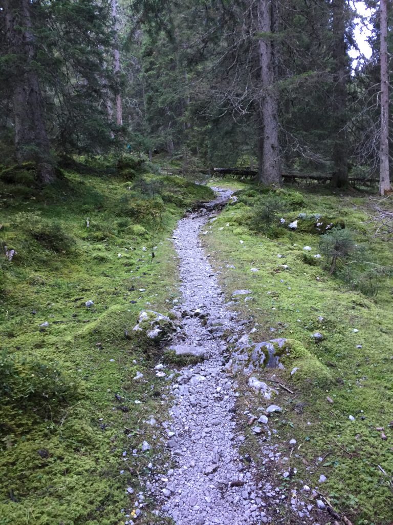 Trail on the Austrian side towards Wiener Neustädter Hütte