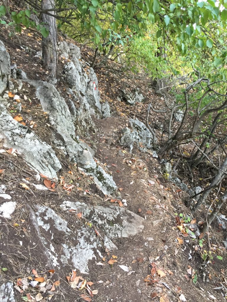 Springlessteig (A, I-)