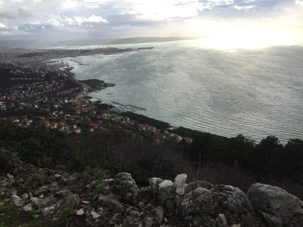 Trieste from Monte Grisa