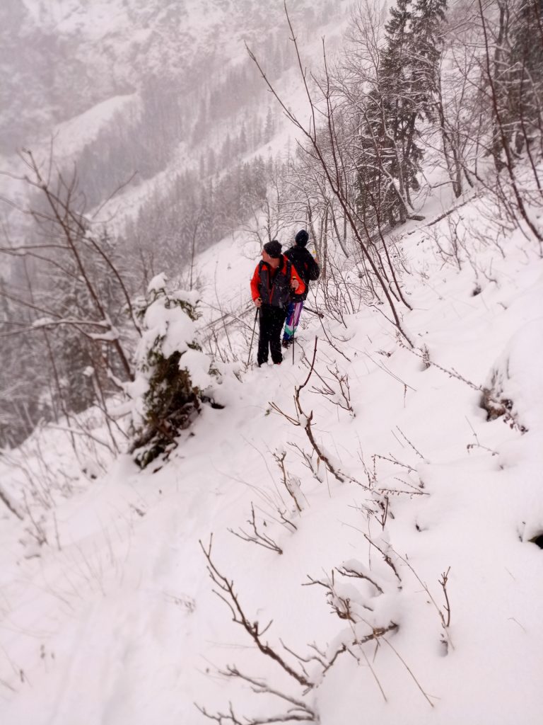 Trail towards Hoyossteig