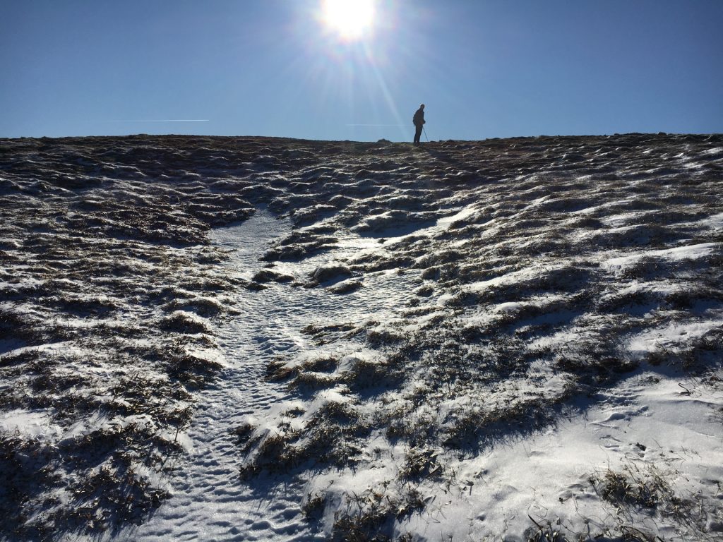 Stefan hikes near the ridge