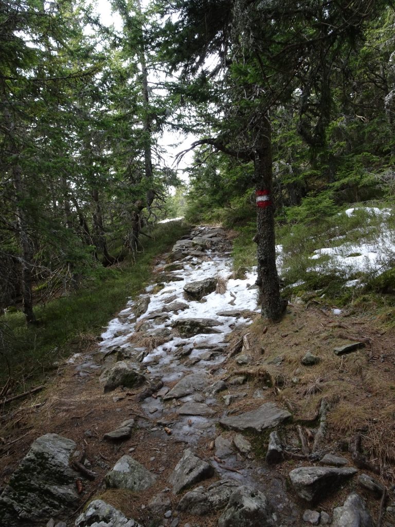 Trail is full of ice and snow