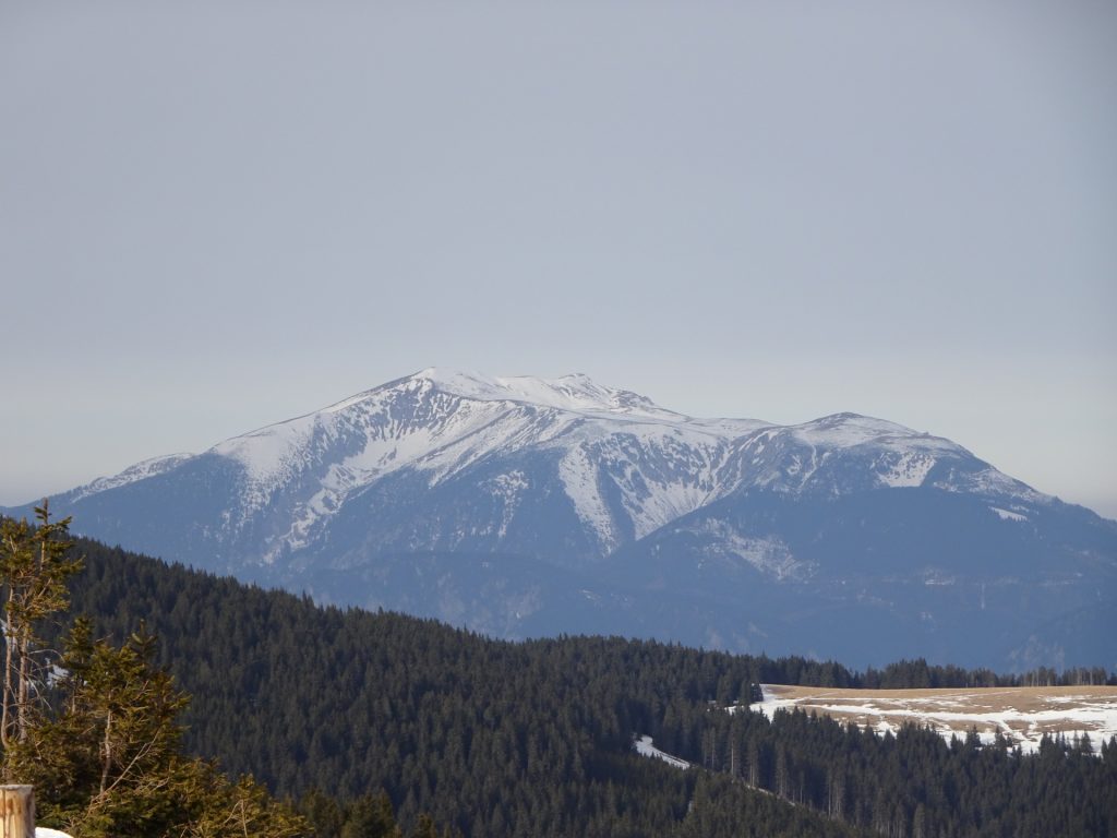 Great view on Schneeberg
