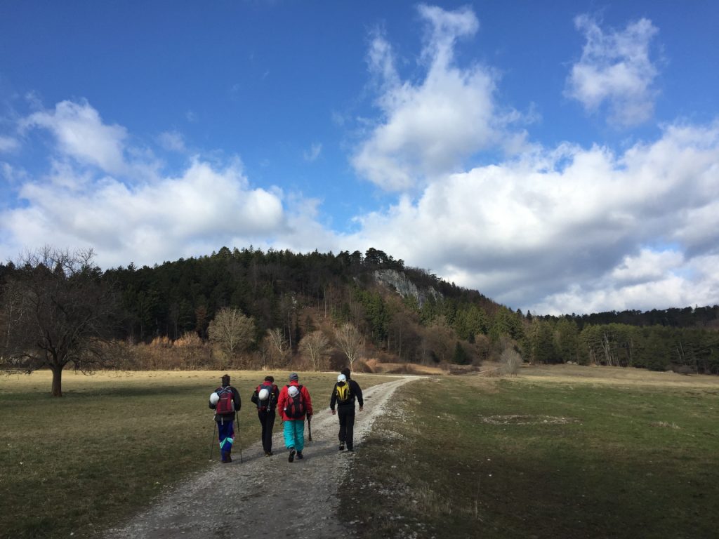 Road towards Währingersteig