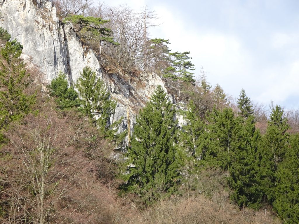 The yellow ladder of Währingersteig