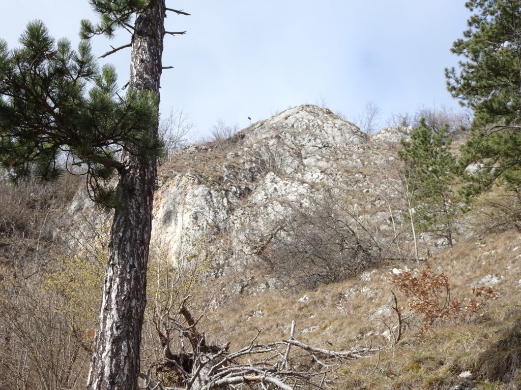 Ganghofersteig (C/D) seen from Zischkasteig (A) 