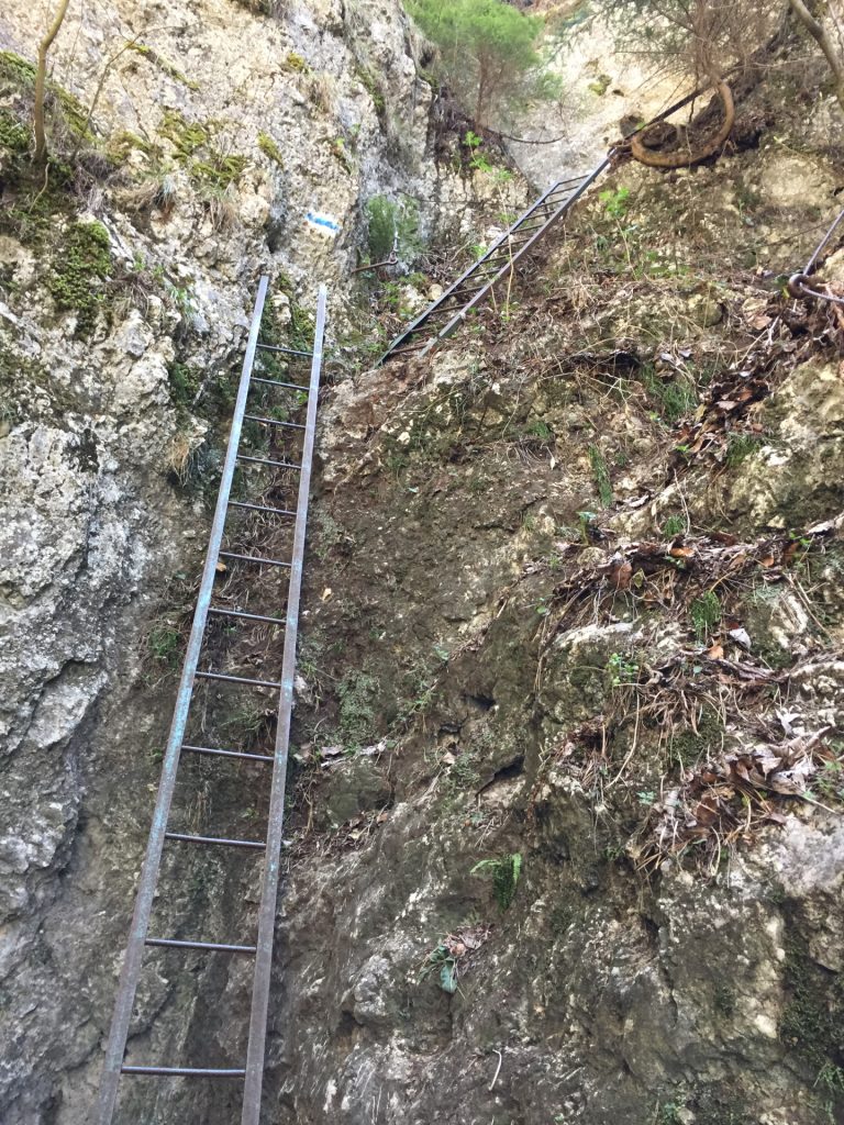 Long iron ladder in Waldeggersteig
