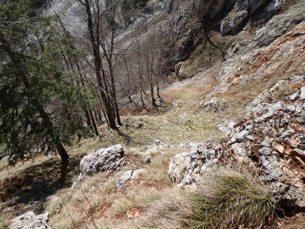 View from Hoyosteig