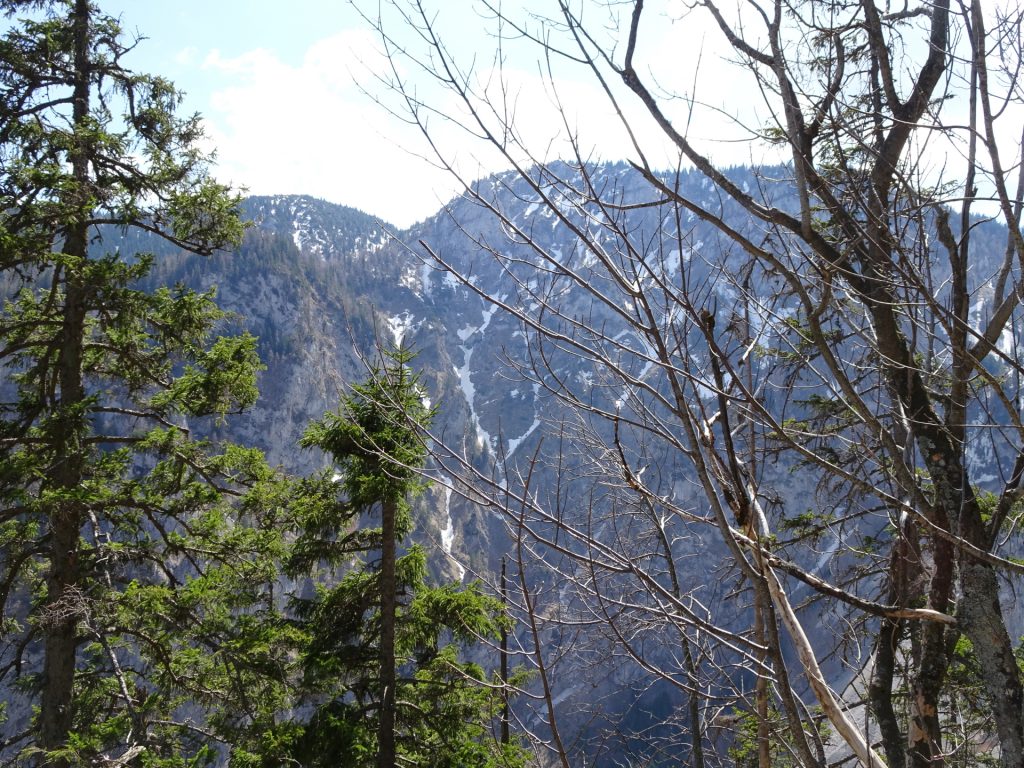 View from trail