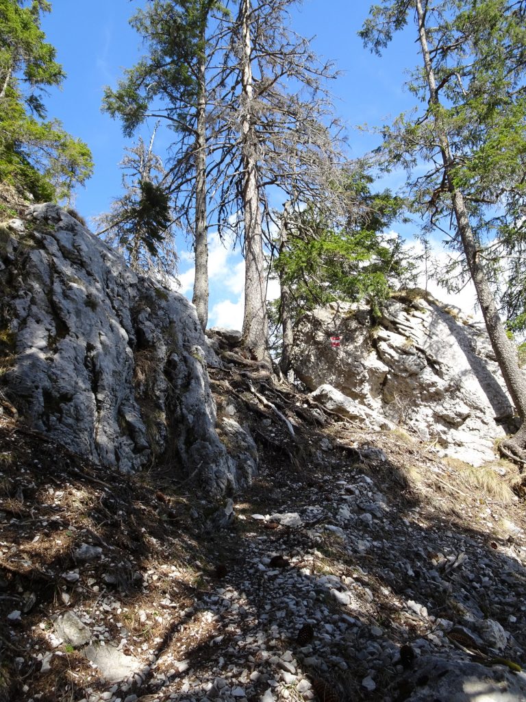 Upwards the Hoyosteig