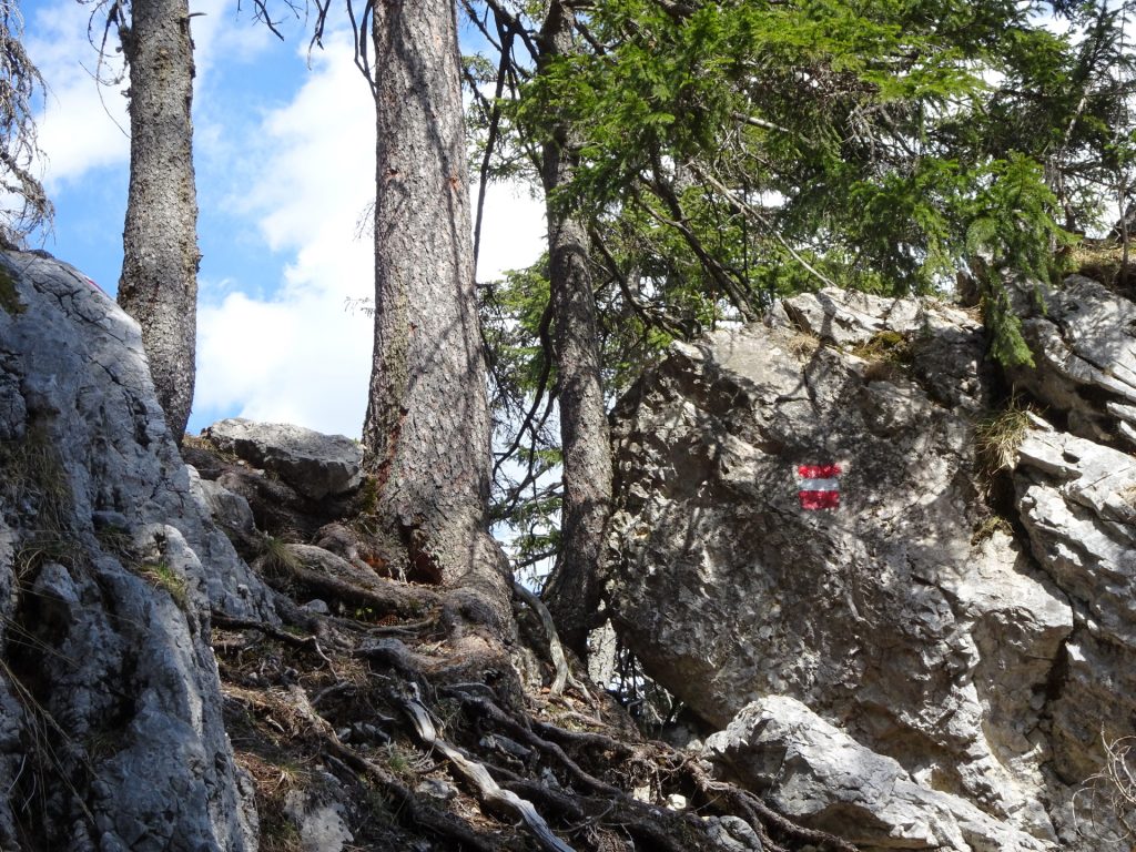 Trail makes a u-turn here (see marking on left stone on the top)