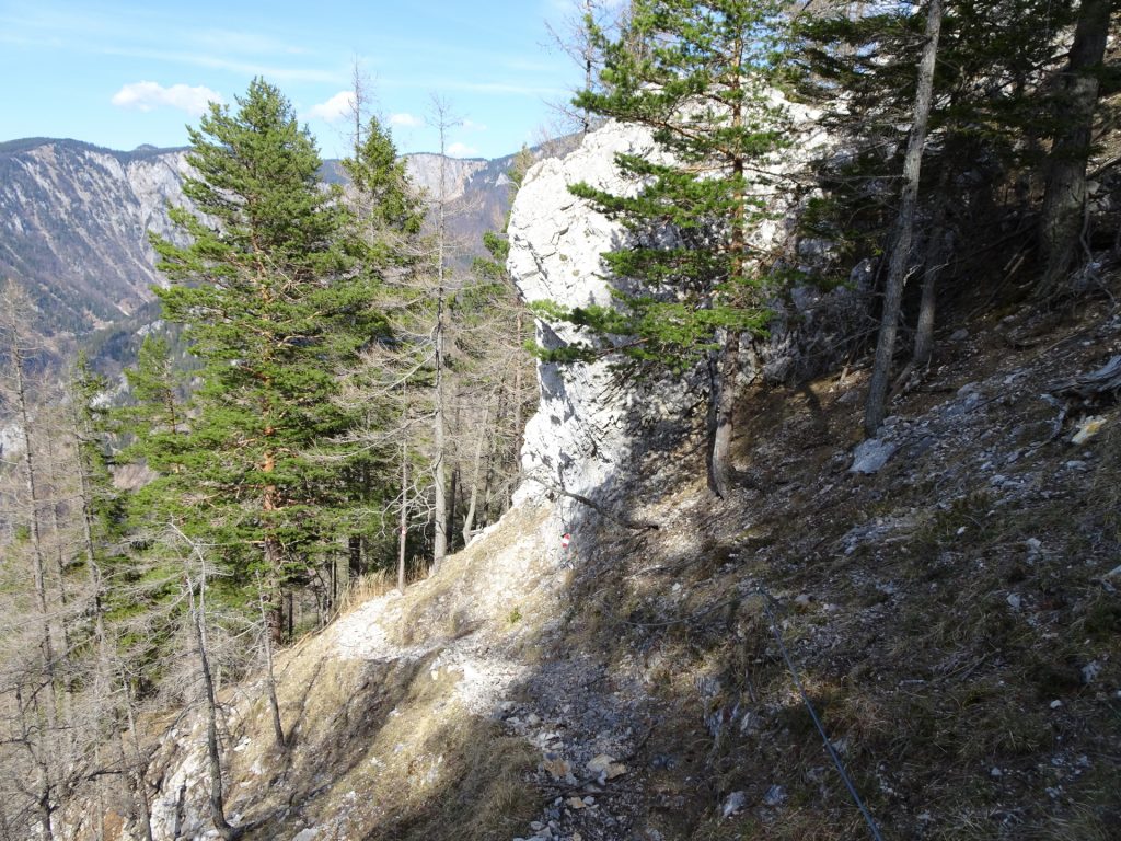 Descending via Rudolfsteig