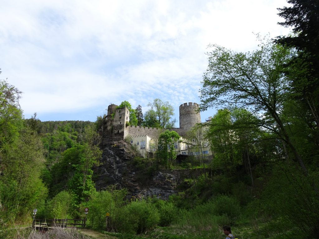 Passing by castle Hartenstein