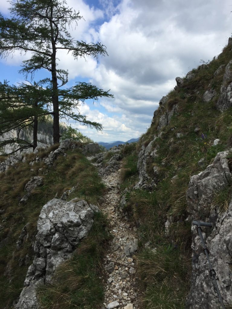 View from the via ferrata