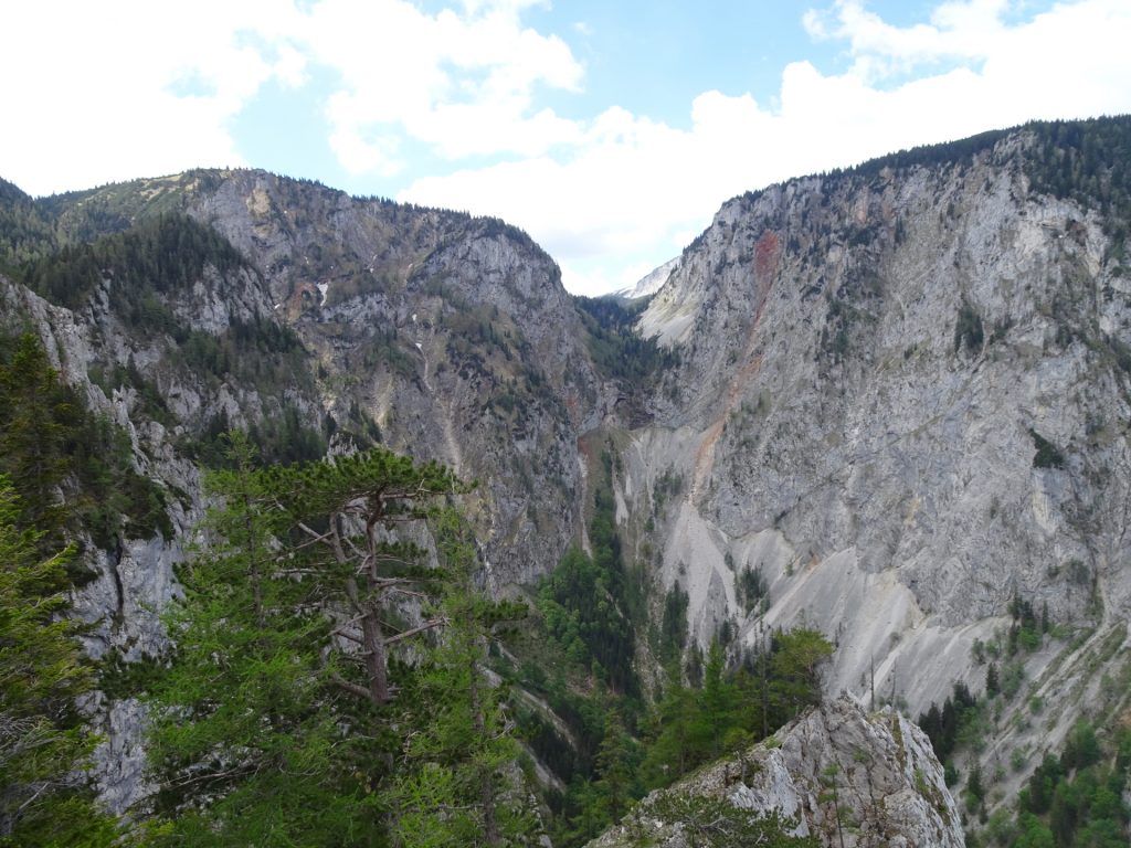 View towards "Gaislochsteig"