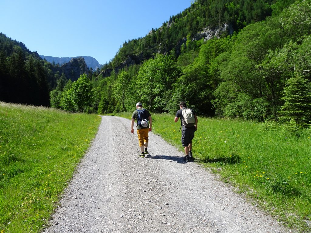 Predrag and Robert are speeding up