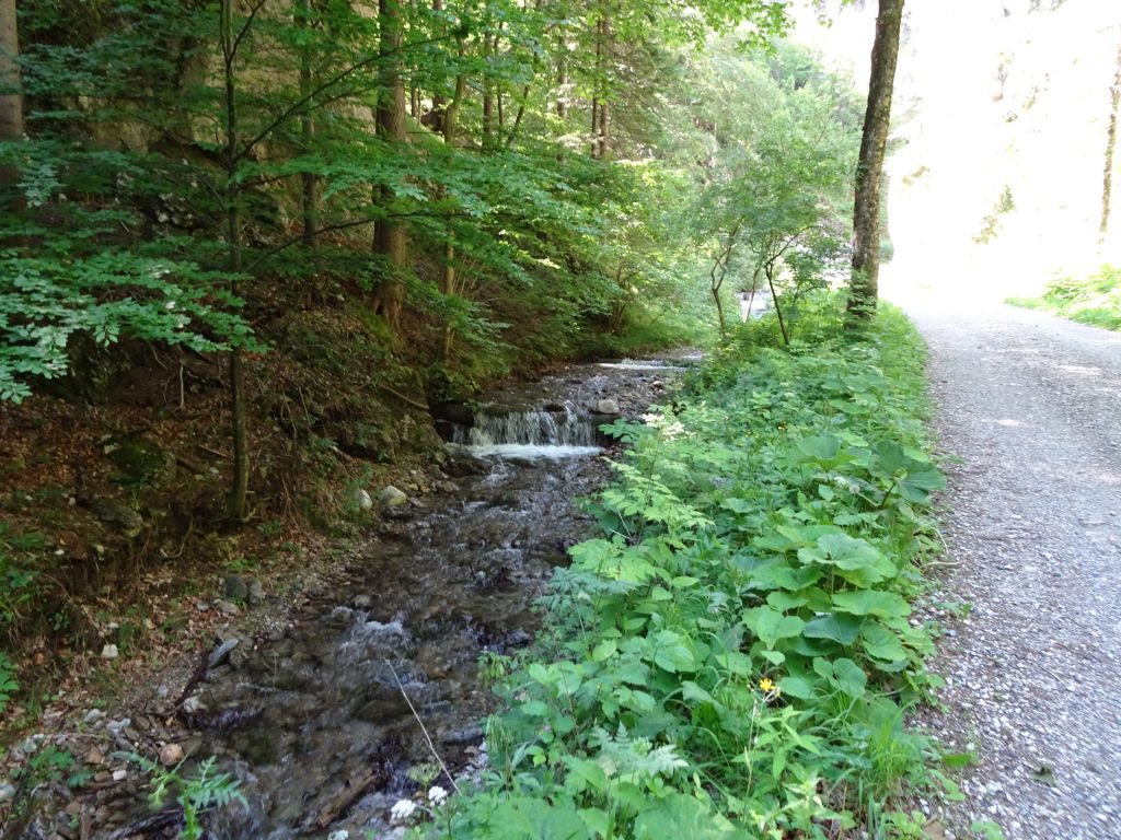 River next to the trail