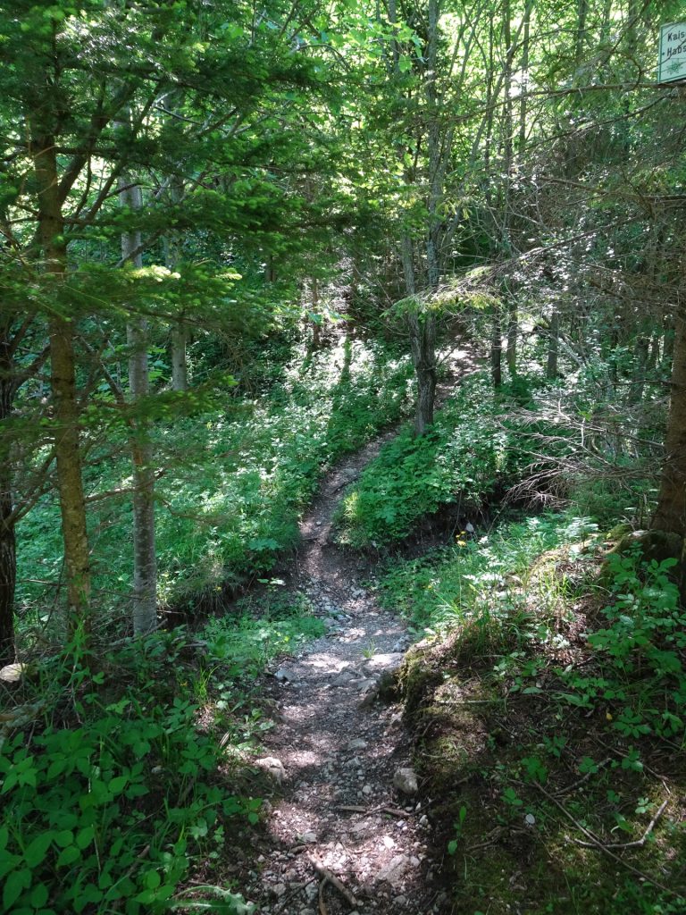 Small trail (on the left) after the valley station towards the Wildfährte
