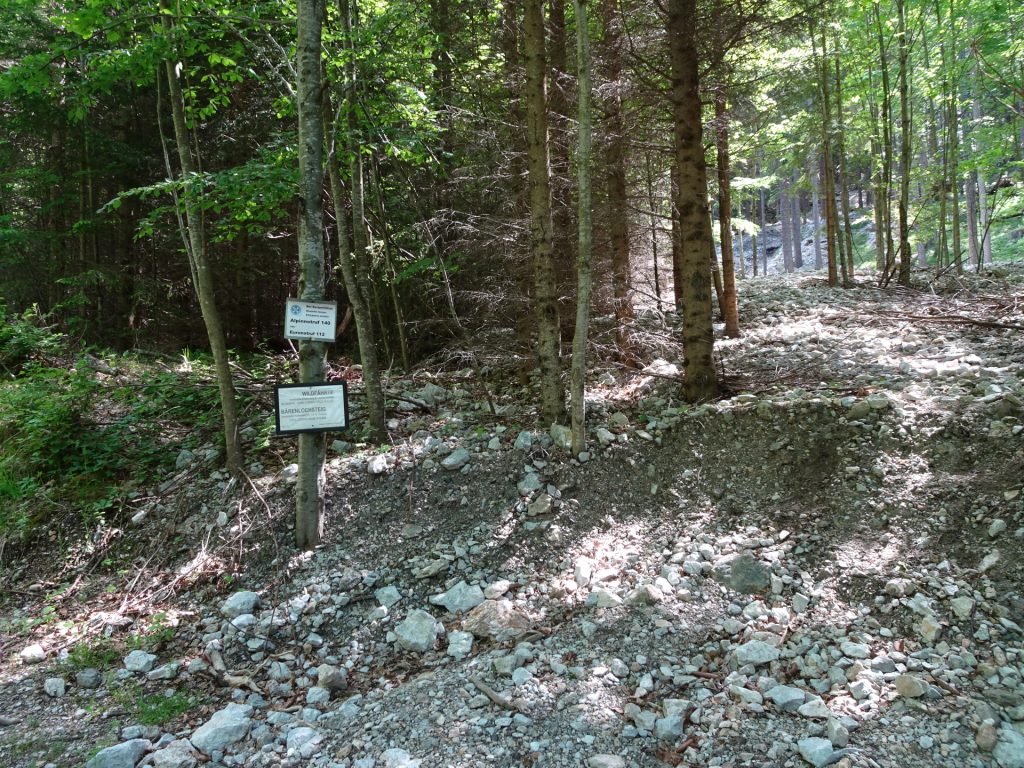 Crossing between Kaisersteig (staight) and Wildfährte / Bärenloch. Turn right here and follow the white-red-white marked route.