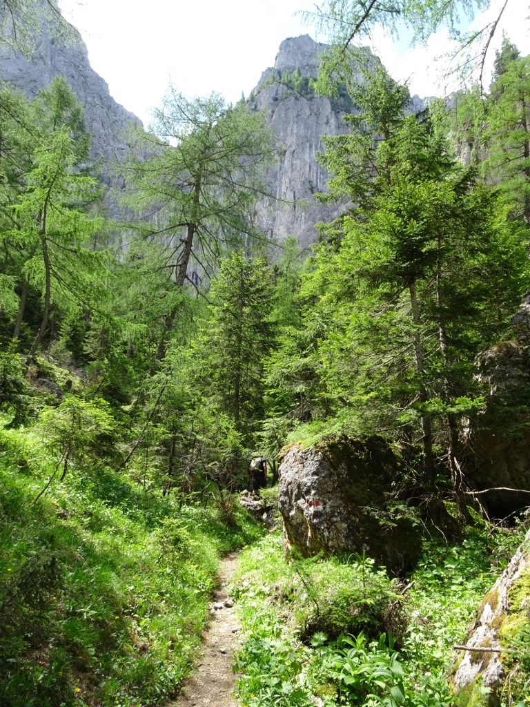 Trail towards Wildfährte