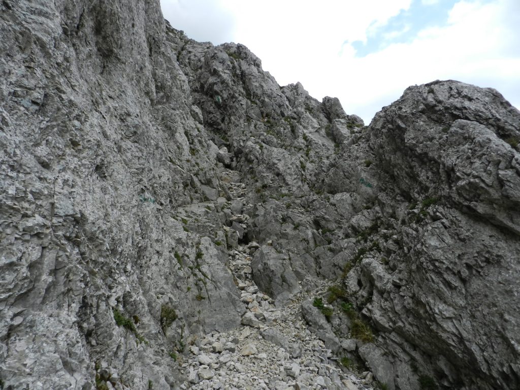 View from Bärenlochsteig