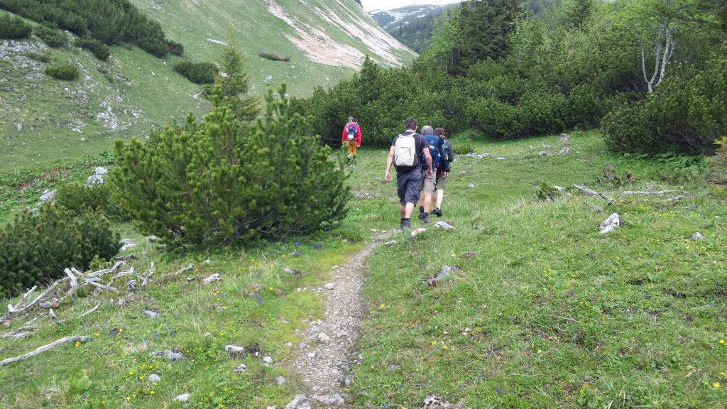 Trail towards Habsburghaus