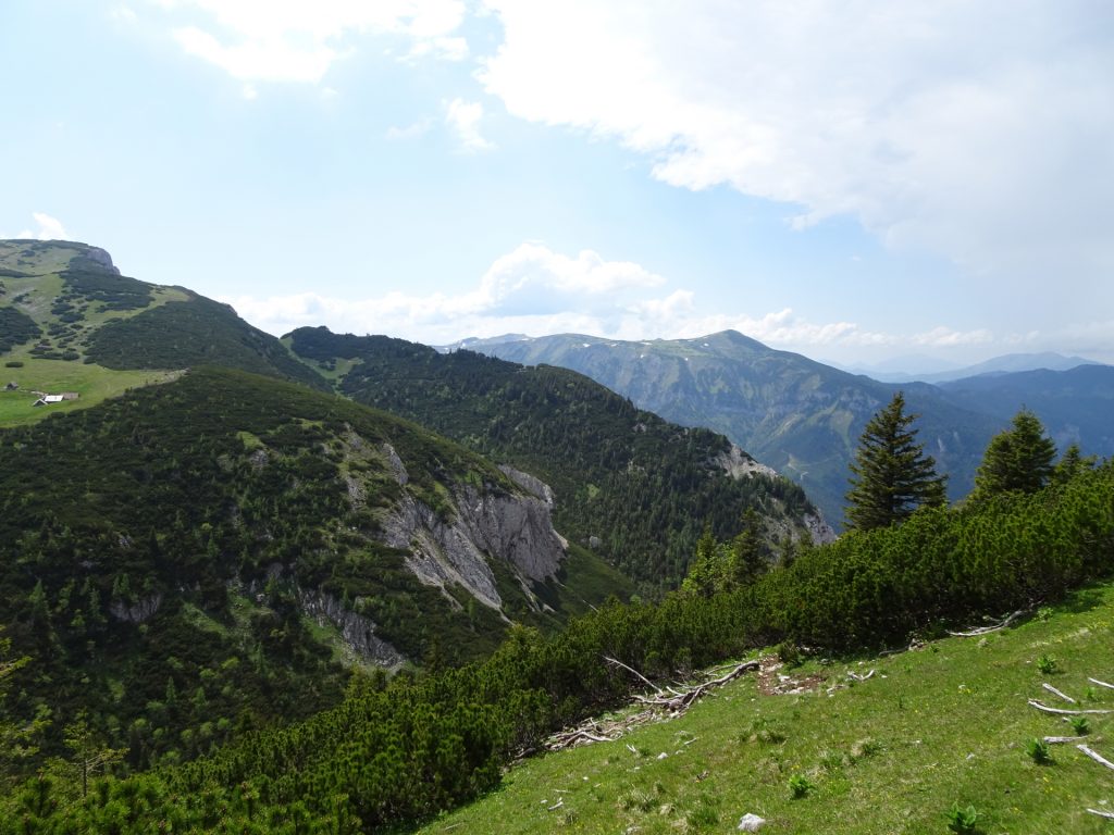 Ochsenhaltweg towards Habsburghaus