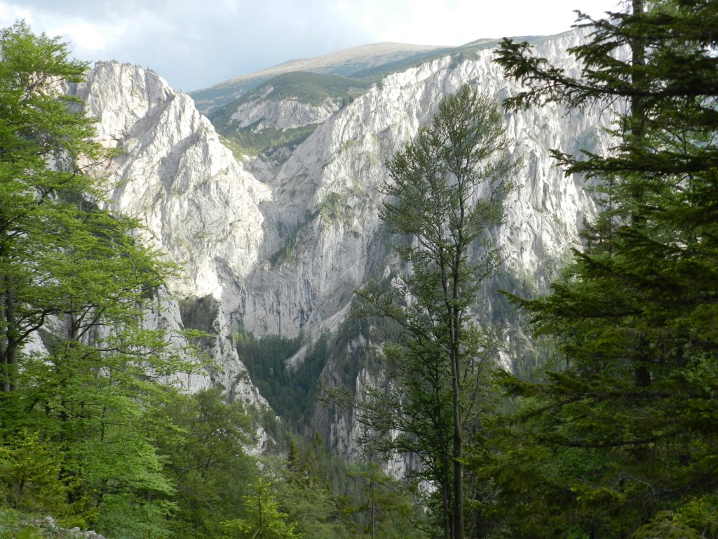 View towards Wildfährte / Bärenlochsteig from Kaisersteig