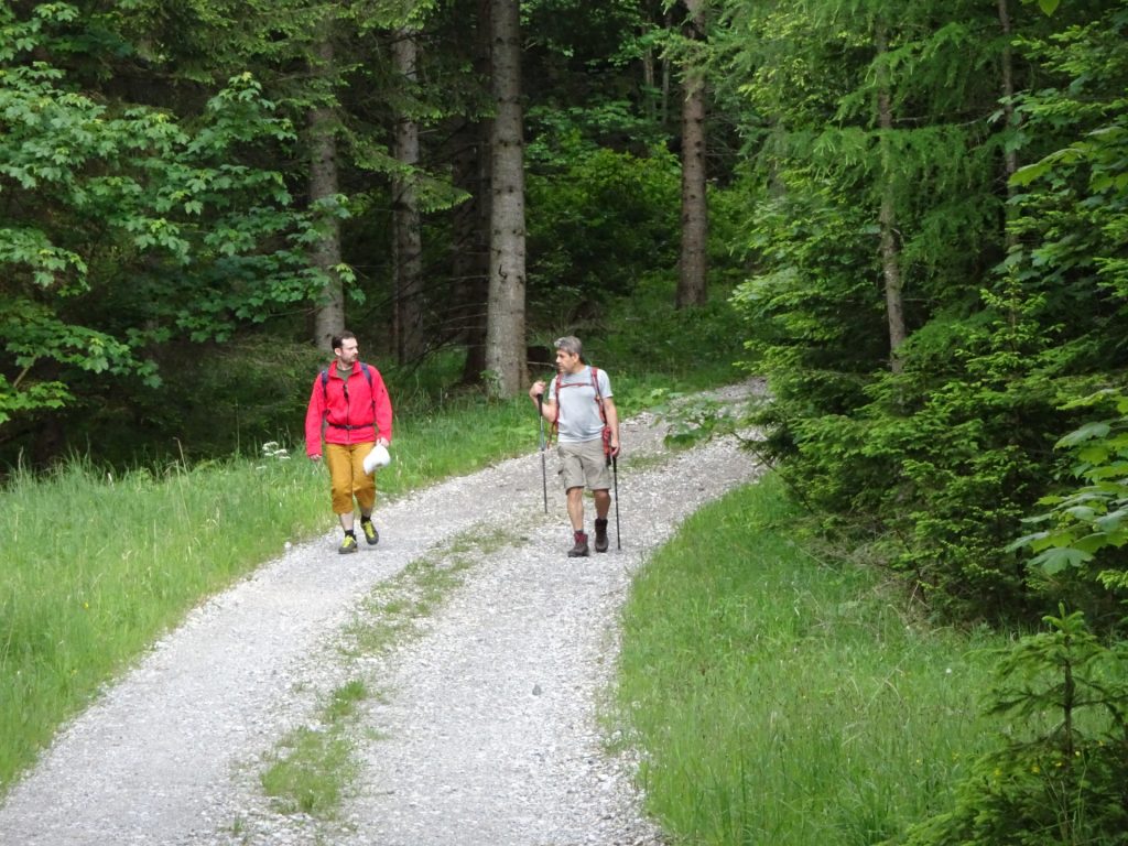 Predrag and Nader on the last meters