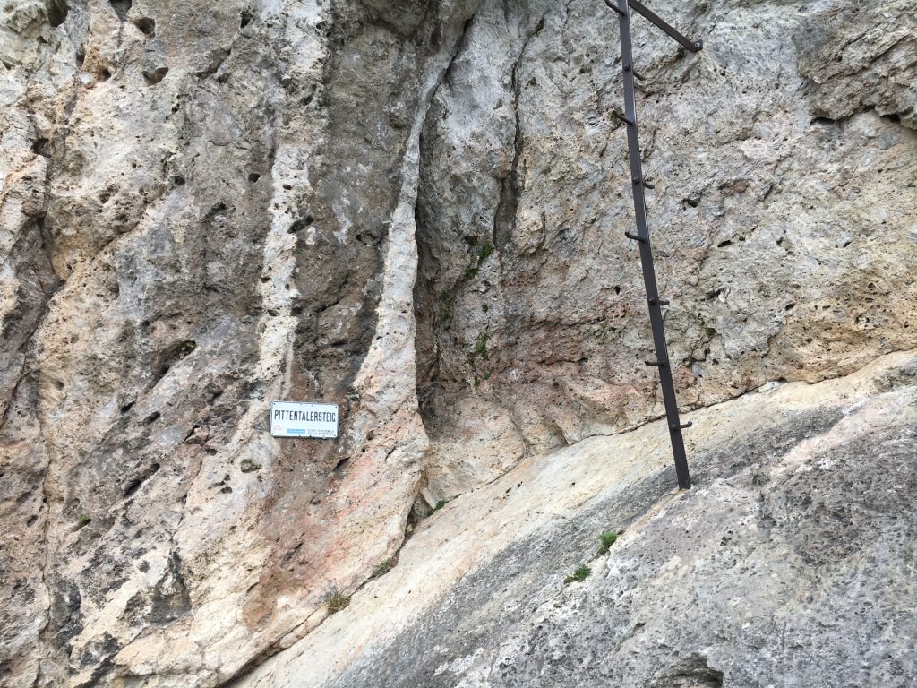 The climbing tree marking the begin of the \"Pittenaler Steig\" via ferrata