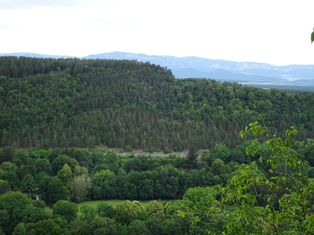 View from "Lutherkanzel"
